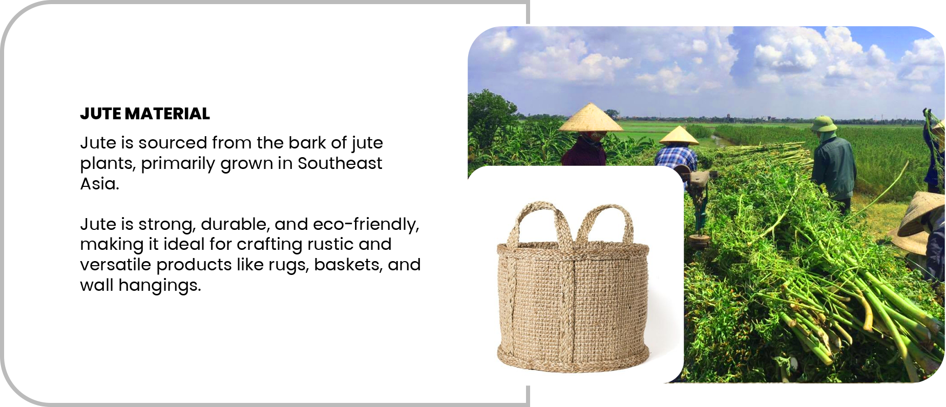 JUTE MATERIAL.png2