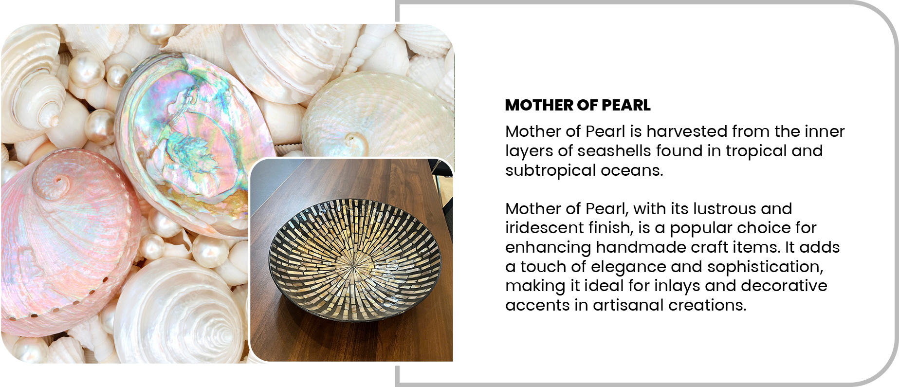 Mother of Pearl2