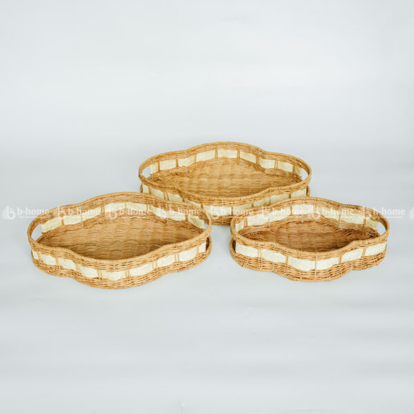tray