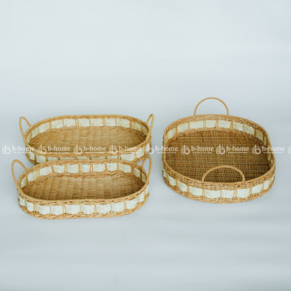 tray