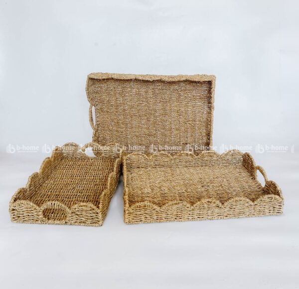 TRAY