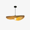 Handicraft Rattan Pendant Light (RT-PL30)